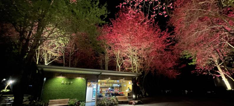 南投森之秘汤图片