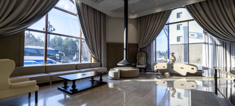 长白山北坡集散中心日吉纳温泉酒店图片