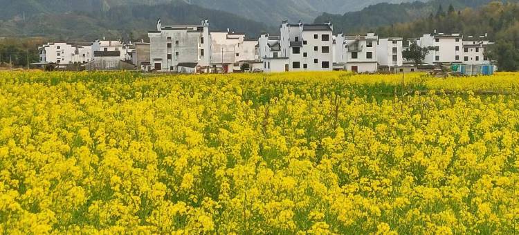 婺源·温馨休闲度假Villa美宿(江湾景区店)图片