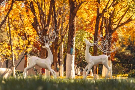 济南舜耕山庄图片