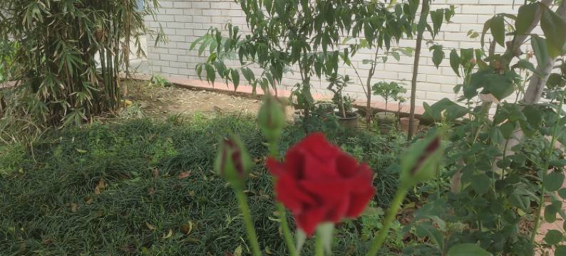 无锡尚佳民宿图片