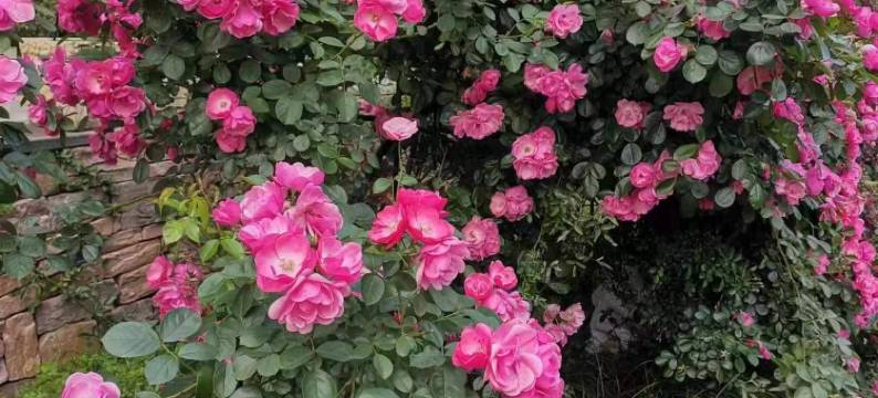 舟山西溪度假酒店图片