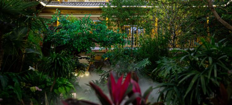 花语水岸·Alice in Wonderland客栈(爱丽丝仙境总店)图片