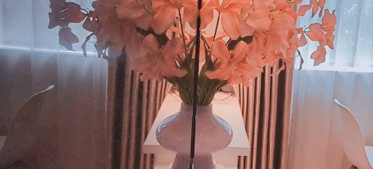 阳朔米乐雅居客栈(西街店)图片