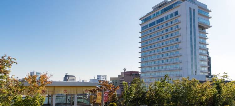 JR九州Blossom酒店大分(JR Kyushu Hotel Blossom Oita)图片