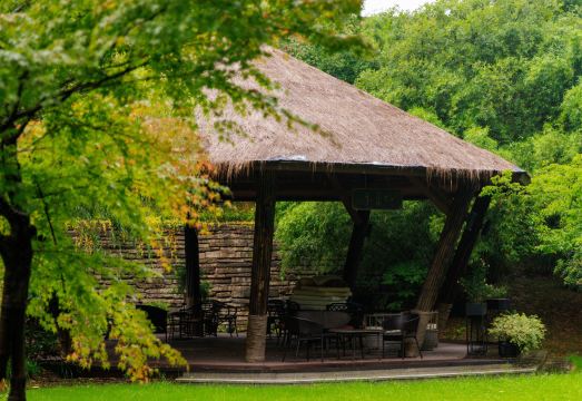 Argyle.EXECUTIVEAPARTMENTSHotel Overview