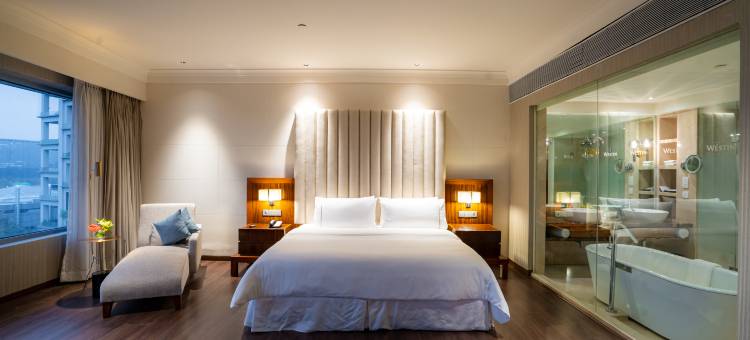 浦那戈雷冈公园威斯汀酒店(The Westin Pune Koregaon Park)图片
