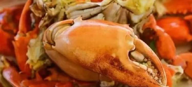 7天优品酒店(三亚湾海月广场外贸路美食街店)图片