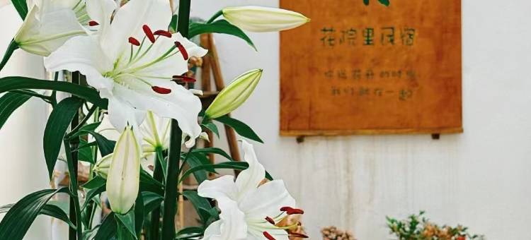 烟台花院里民宿(滨海中路店)图片