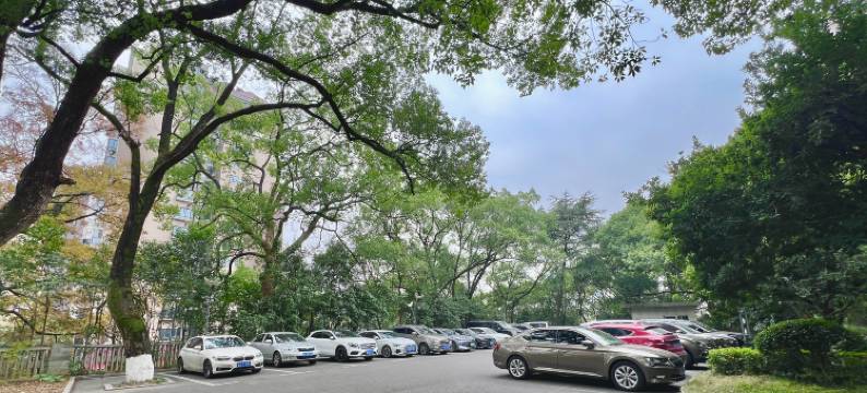 株洲南方国宾酒店图片