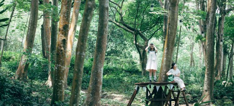 三義 綠波浪 by 尋路图片