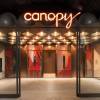 希爾頓大阪梅田 Canopy