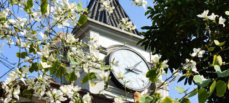 得闲坊民宿(广州荔湾湖公园永庆坊店)图片