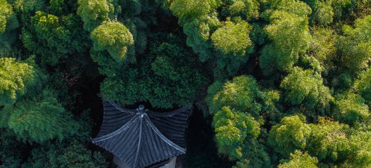 杭州香格里拉饭店·水知心居图片