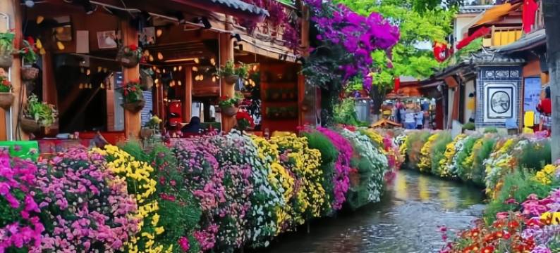 文渊阁·retro纳西民族体验文化别院图片