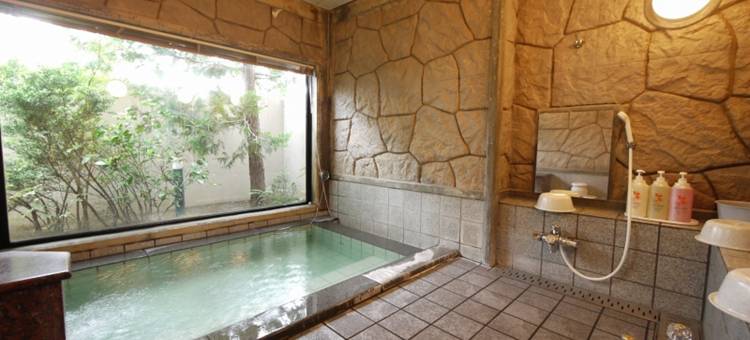 露樱酒店妙高新井店(Hotel Route-Inn Myoko Arai)图片