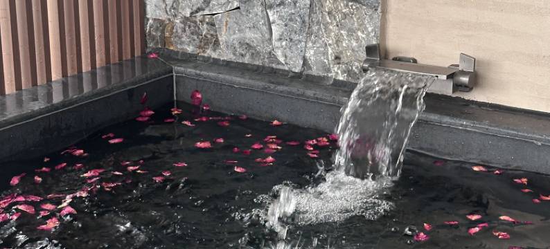 庐江溪地阿兰若美宿图片