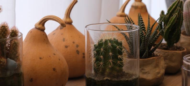 东山岛栖海里民宿(南门湾店)图片