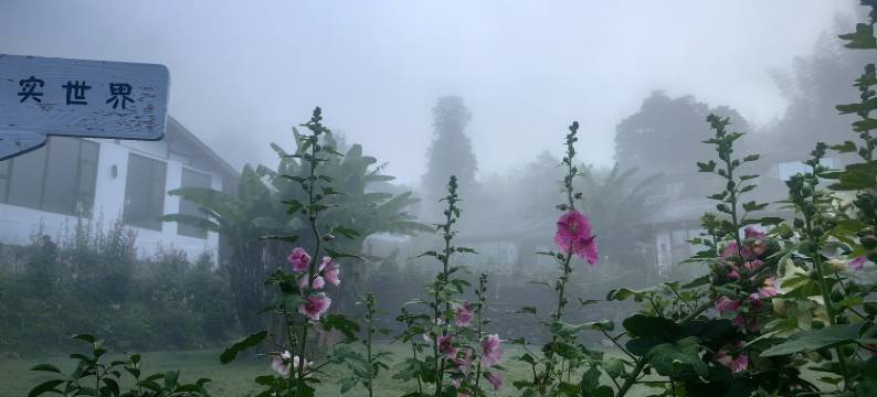 千岛湖典藏养云间度假村图片