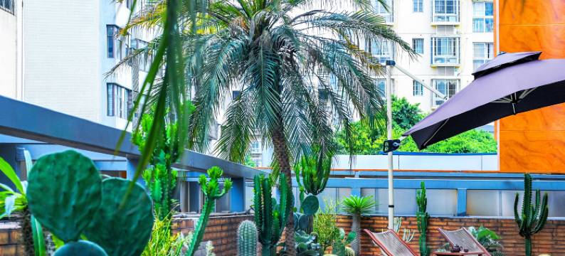 柏曼酒店(重庆璧山中央大街店)图片