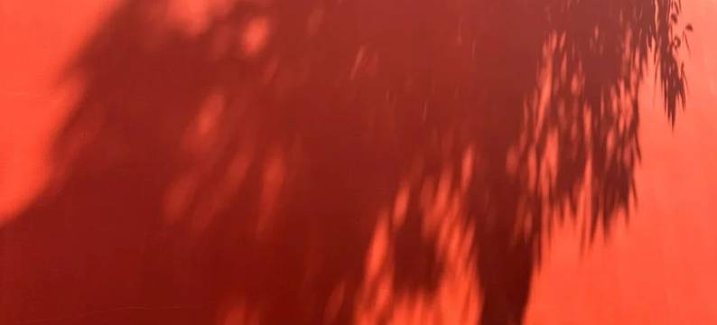 陶阳里遇遥民宿图片