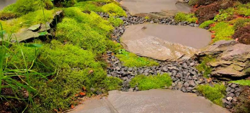 大连悦榕汇酒店图片