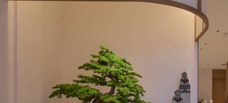 隐居洛邑民宿(洛阳应天门洛邑古城店)图片