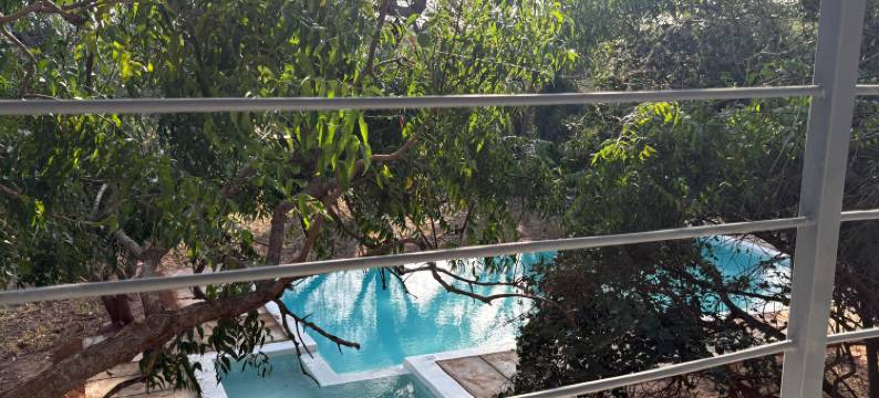 阿希尼尔阿鲁巴旅舍(Ashnil Aruba Lodge)图片