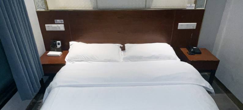 原力酒店(广州塔琶洲会展中心店)图片