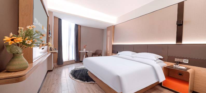 明月湖酒店(田东商都店)图片