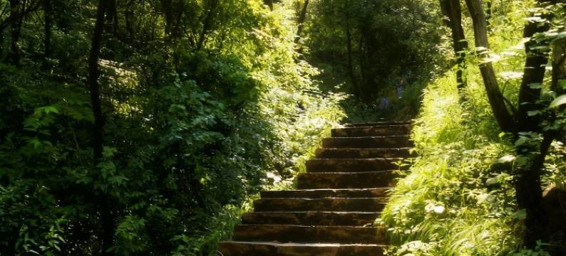 巴马风雨桥民宿(印象巴马母鸡山公园店)图片