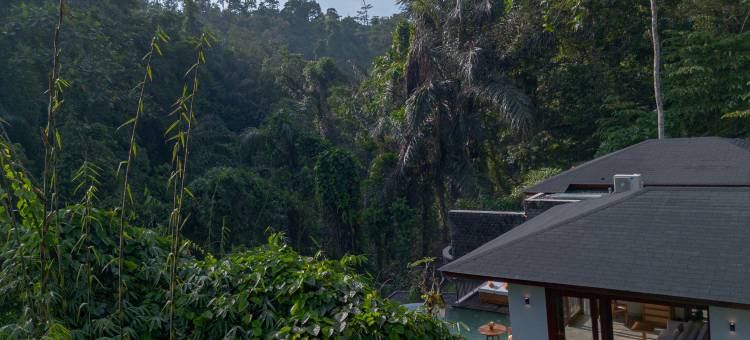 阿迪瓦纳阿拉斯哈鲁姆(Adiwana Alas Harum)图片