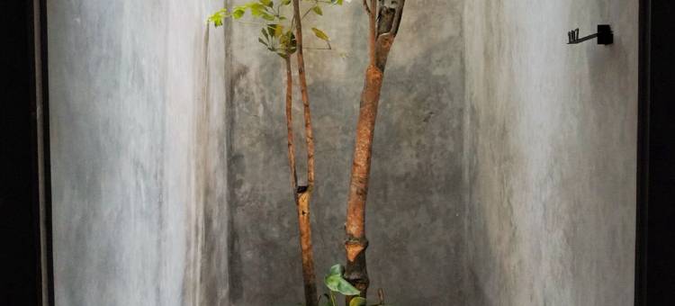 Maisola by ARTOTEL 三宝垄(Maisola by ARTOTEL Semarang)图片