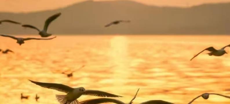 美景精品酒店(天峨店)图片