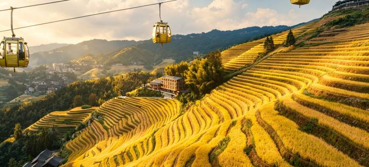龙脊梯田龙景苑客栈(三号金佛顶观景台店)图片