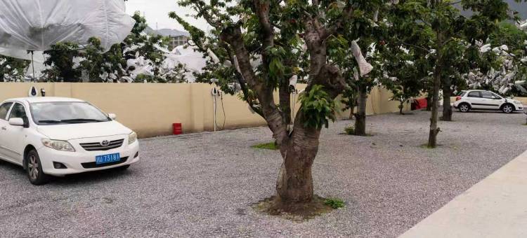 云隐江庭民宿(茂县白石羌寨店)图片