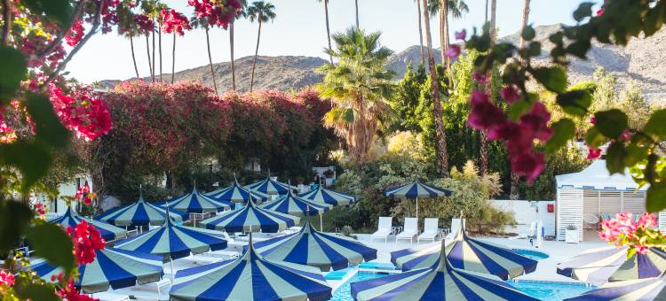 棕榈泉帕克酒店(Parker Palm Springs)图片