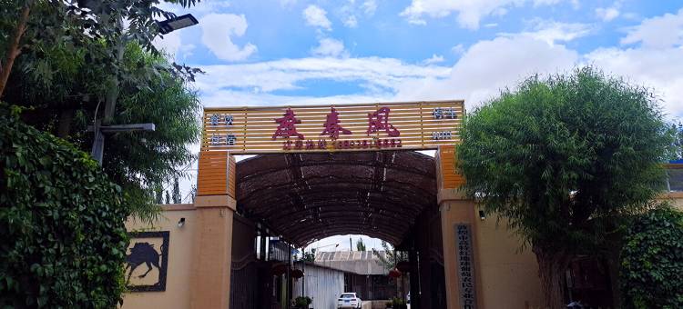 莫高度春风客栈图片