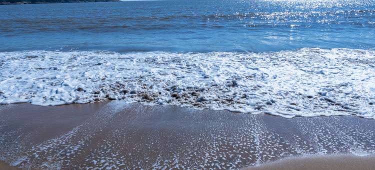 壹家墅别墅(象山松兰山店)图片