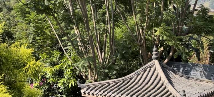 米易阳光驿站农家乐图片
