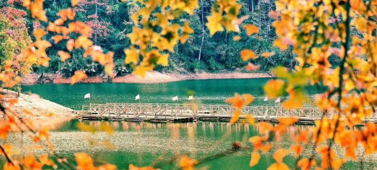 竹溪畔民宿(上犹店)图片