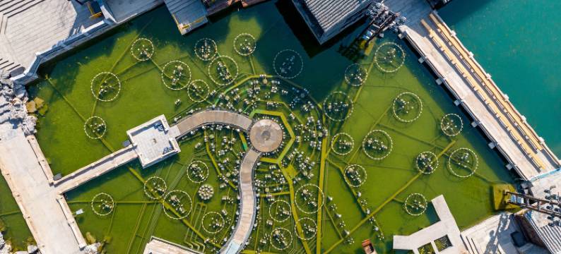 清照泉城兔子王客栈(明水古城店)图片