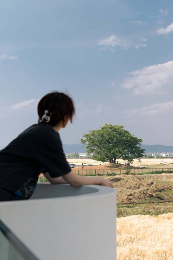 大理麦屿·田园民宿(喜洲古镇店)图片