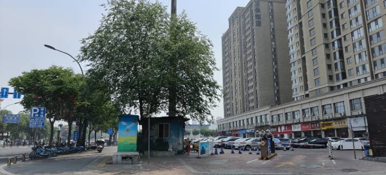 轻舟小舍(洛邑古城南关小碗牛肉汤店)图片