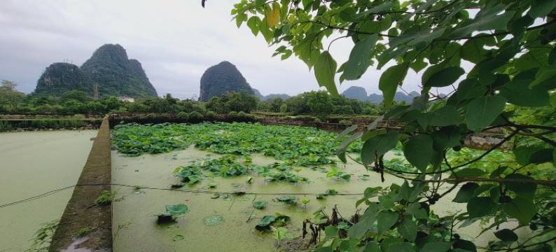 桂林听荷民宿(芦笛岩景区店)图片