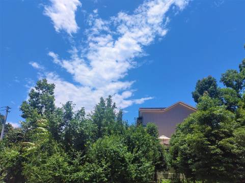 喜屋·国风美倦设计师温泉独栋别墅(都江堰中华大熊猫苑店)图片