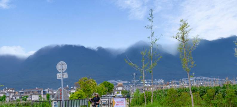 喜宅Astral·青田野趣美宿(龙龛码头店)图片