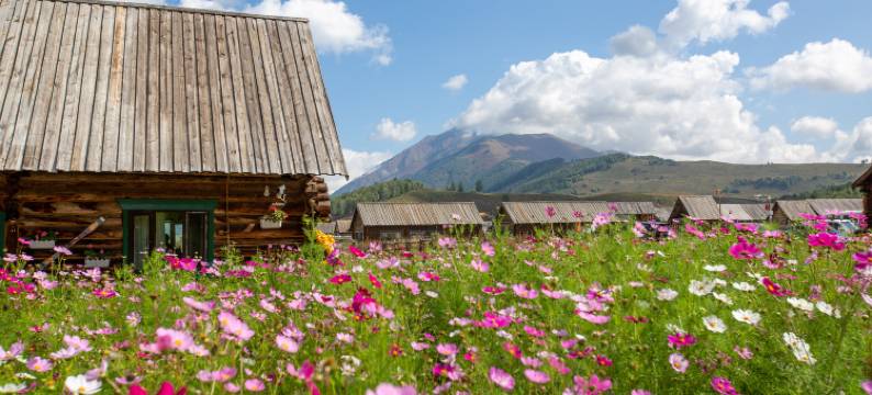 禾木鹿野乡村旅馆图片