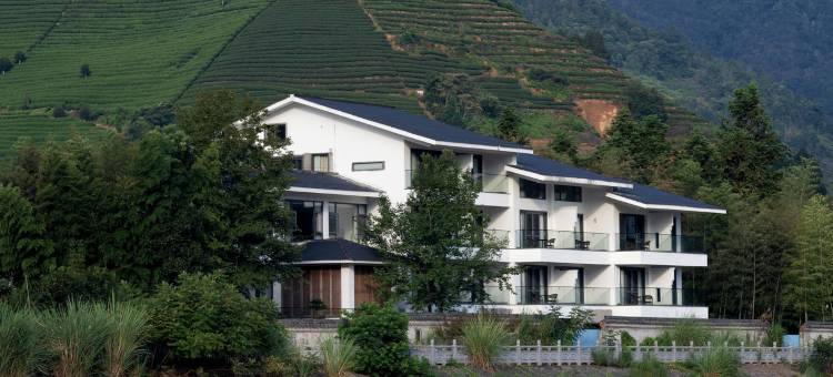 花筑奢·武夷山自在一味茶庄园民宿图片