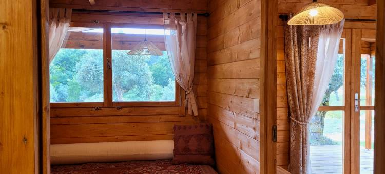 在Rio的会议(Encontro no Rio)图片